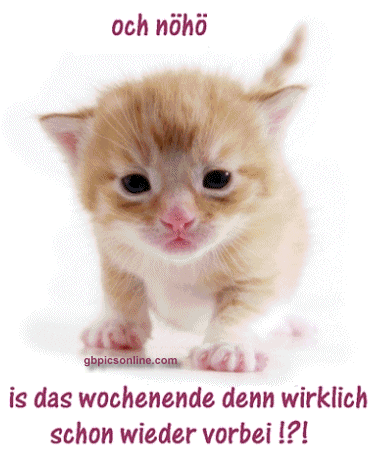 http://img17.dreamies.de/img/485/b/1ce6sfn8fyn.gif