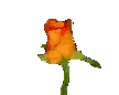 Resim